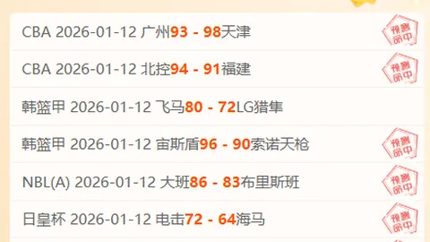 泰山队首阶段表现惊艳，新加盟球员迅速适应，夏季转会窗需强化攻击阵容。