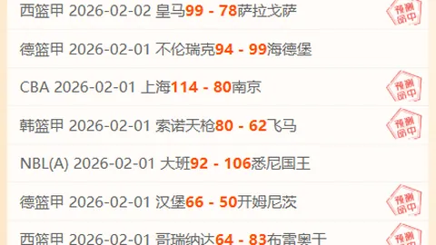 大乐透期号专家推荐：质合分析前区十码攻防策略