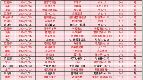 日本国脚旗手怜央：欧冠历练助其在世界舞台上翱翔